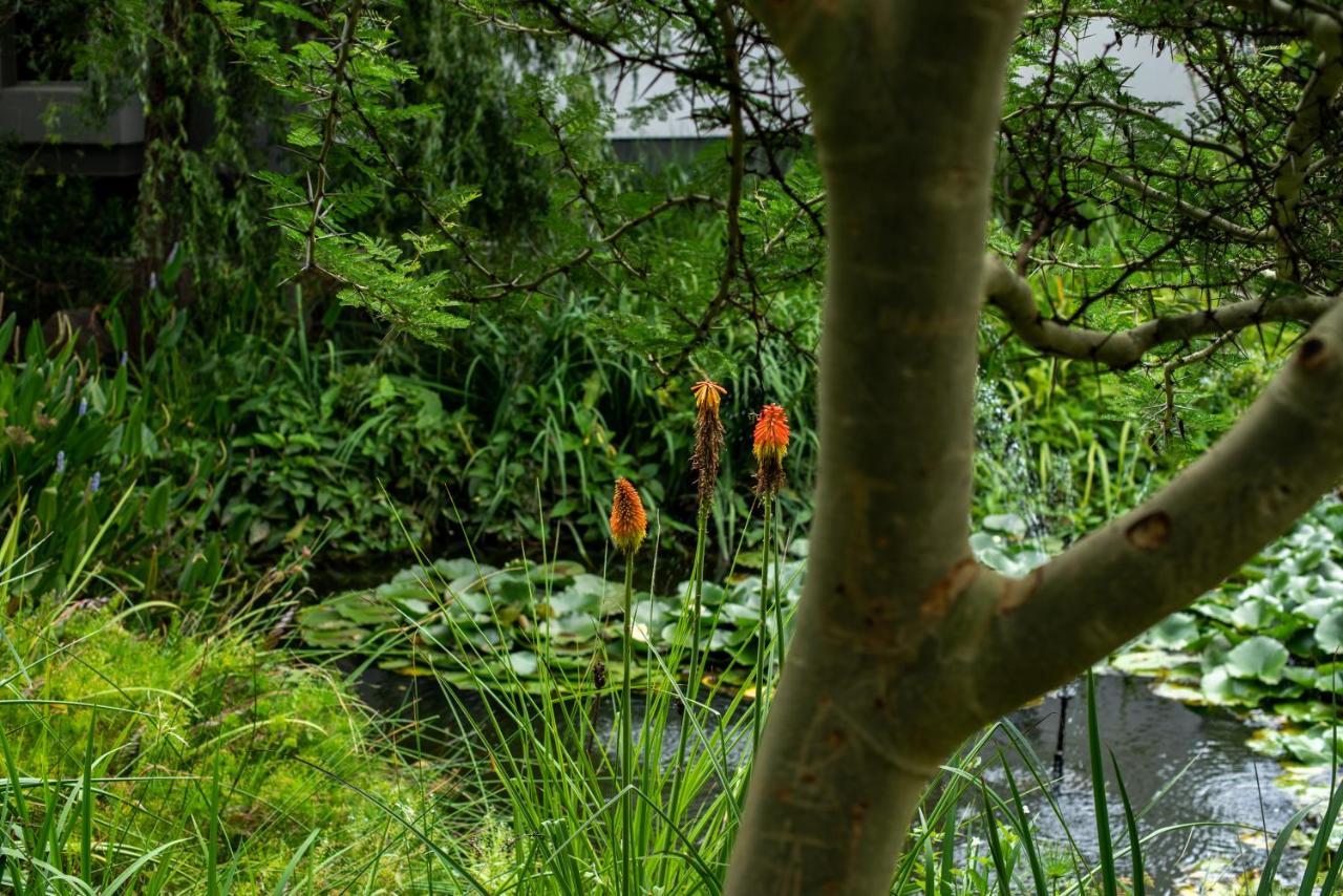 Seven Villa Hotel & Spa Йоханесбург Екстериор снимка The pond at the entrance to the house